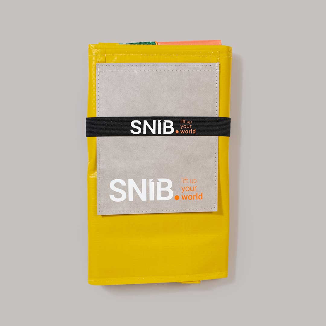 BackBAG golden lambo